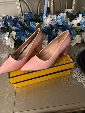 Women’s Classic Pointed Toe Block Heel Pumps - Pink